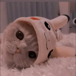 مسلسل قسمة العدل-S1E30