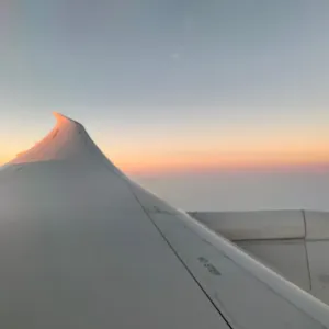 Tinker Bell and the Legend of the NeverBeast-360P