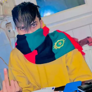 Poorna [Punjabi]-480P