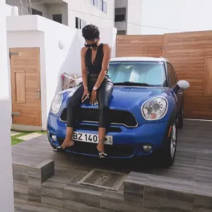 Despicable Me 4-1080P