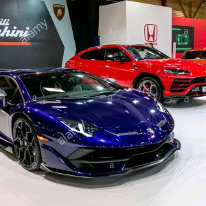 Mansion 24 [Hindi]-S1E2-480P