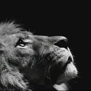 To Be Hero X [Hindi]-S1E24-720P