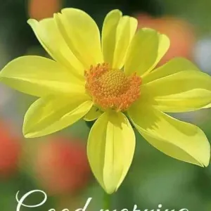 Mansion 24 [Hindi]-S1E1-480P