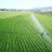 FarmingInSA