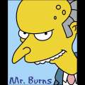 Burns