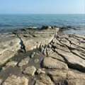 fari_da_57_2