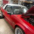 fox_body_ricky