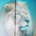 changedforlife2547