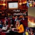 flim.snippets