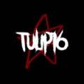prodtulip16.flac