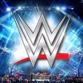 WWE FIGHT ROCK