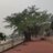 Pradeep Kumar