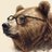 iamthebearwithglasses
