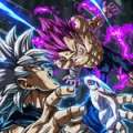 infinity.goku.back