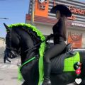 Amazing horses