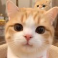 jennifersusan70