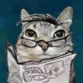 Cat Reddit story