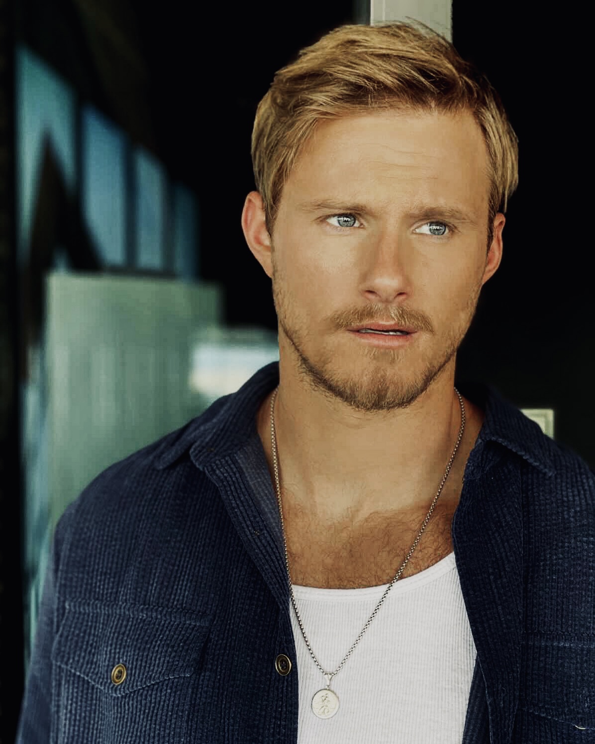 actor Alexander Ludwig large photo