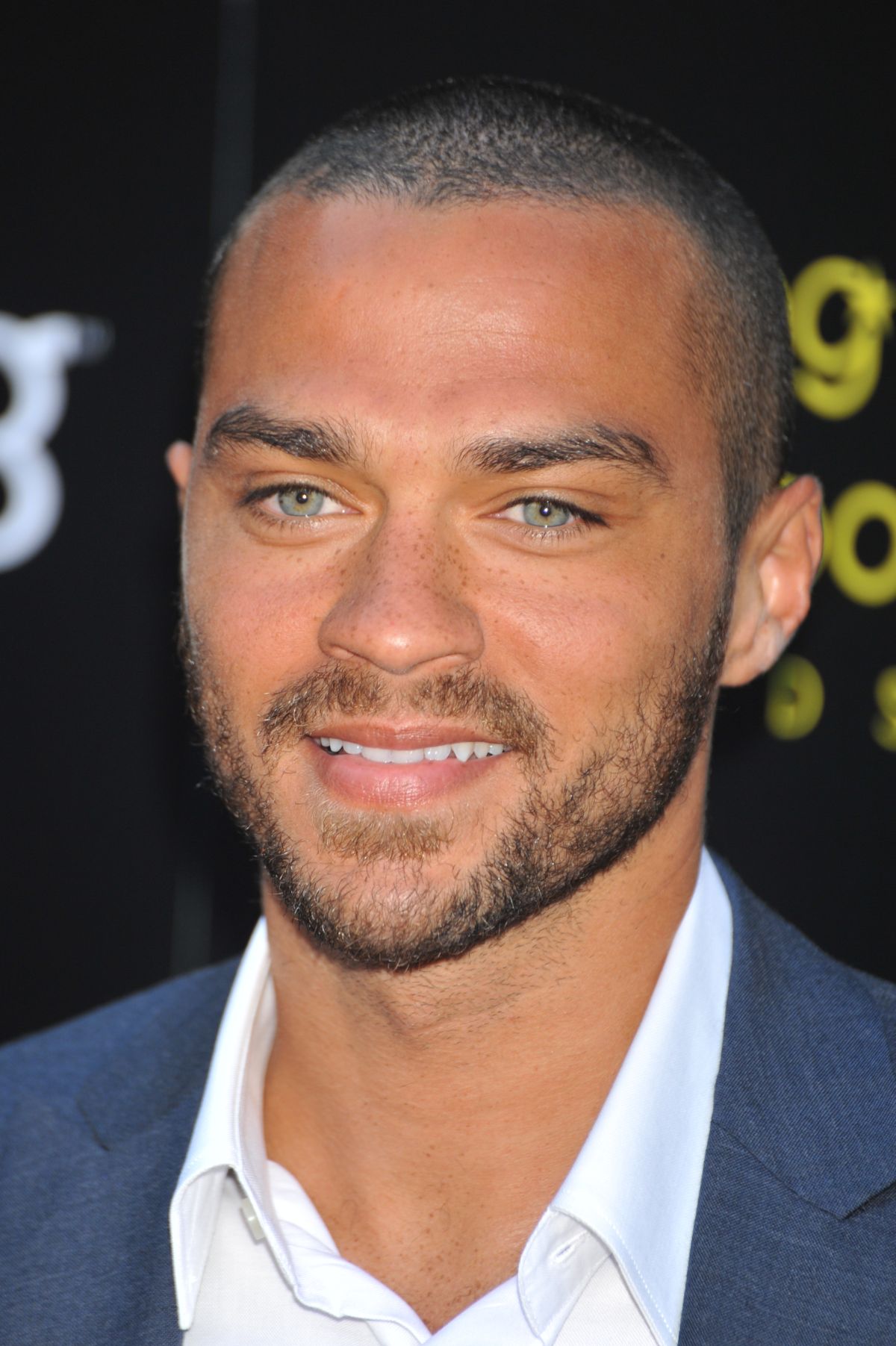 actor Jesse Williams large photo