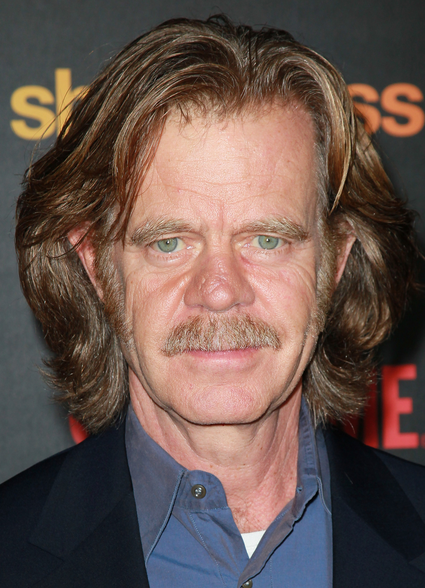 actor William H. Macy large photo
