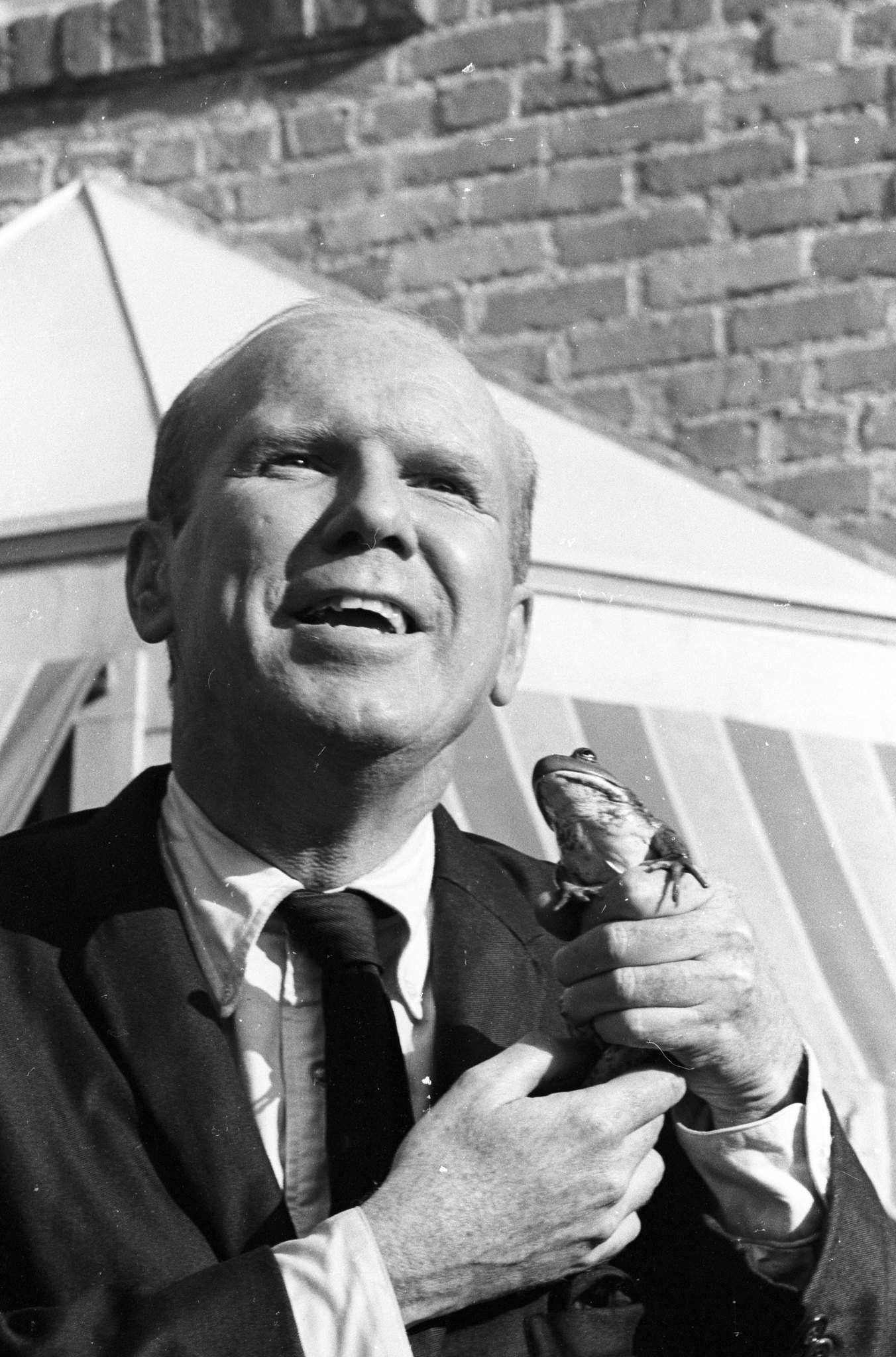 actor John Fiedler large photo