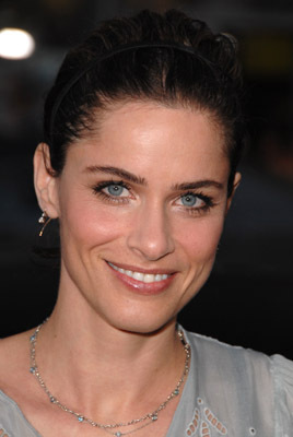 actor Amanda Peet large photo