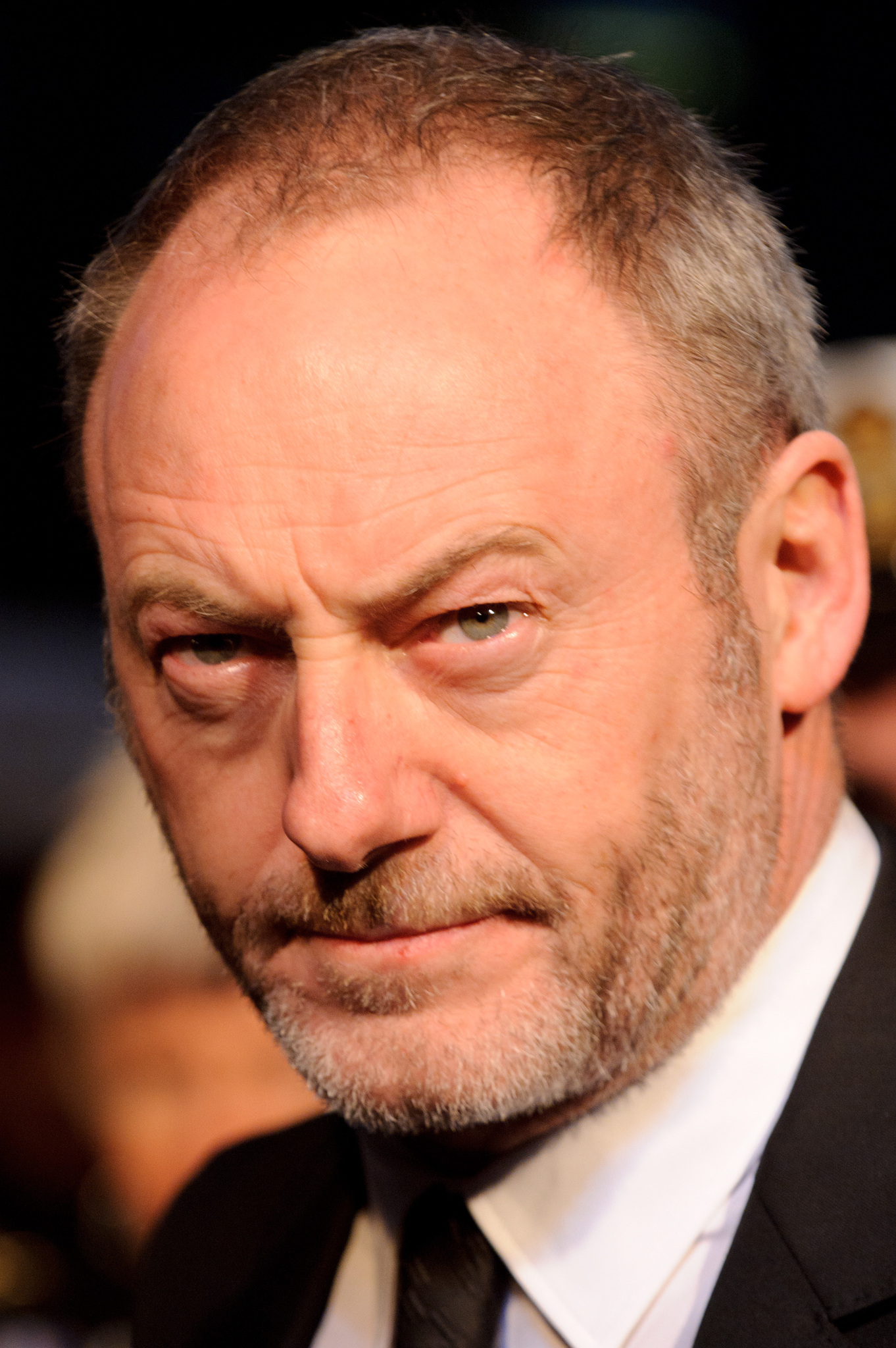actor Liam Cunningham large photo