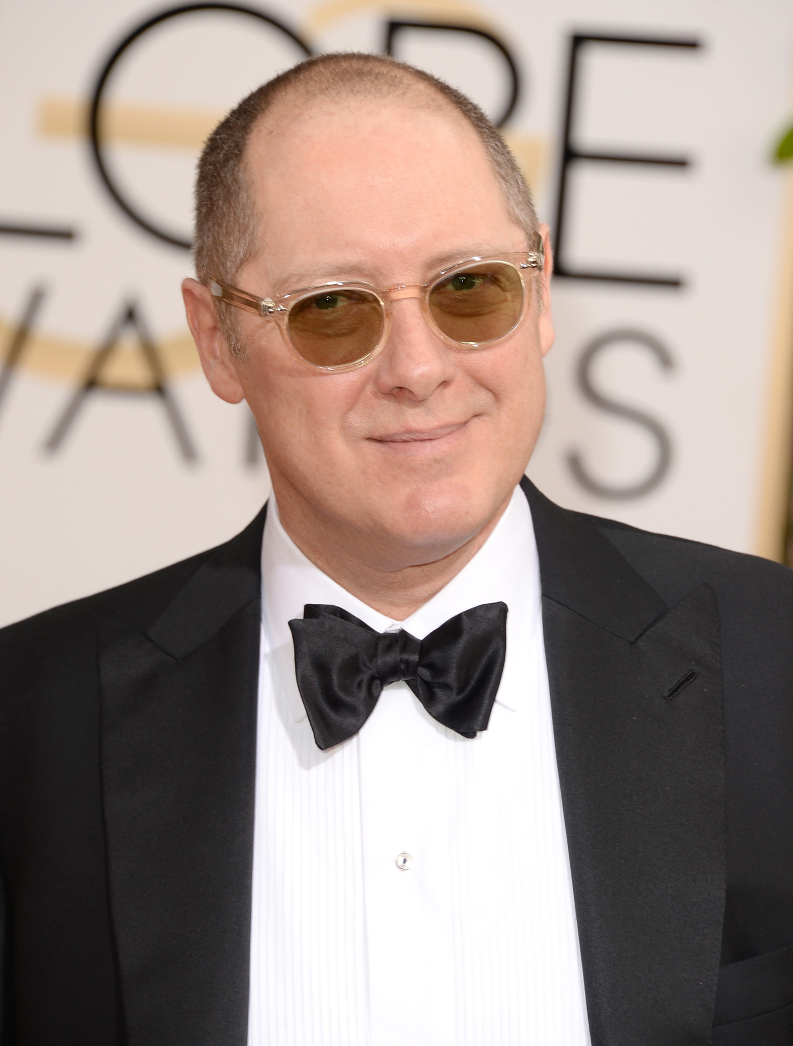 actor James Spader large photo