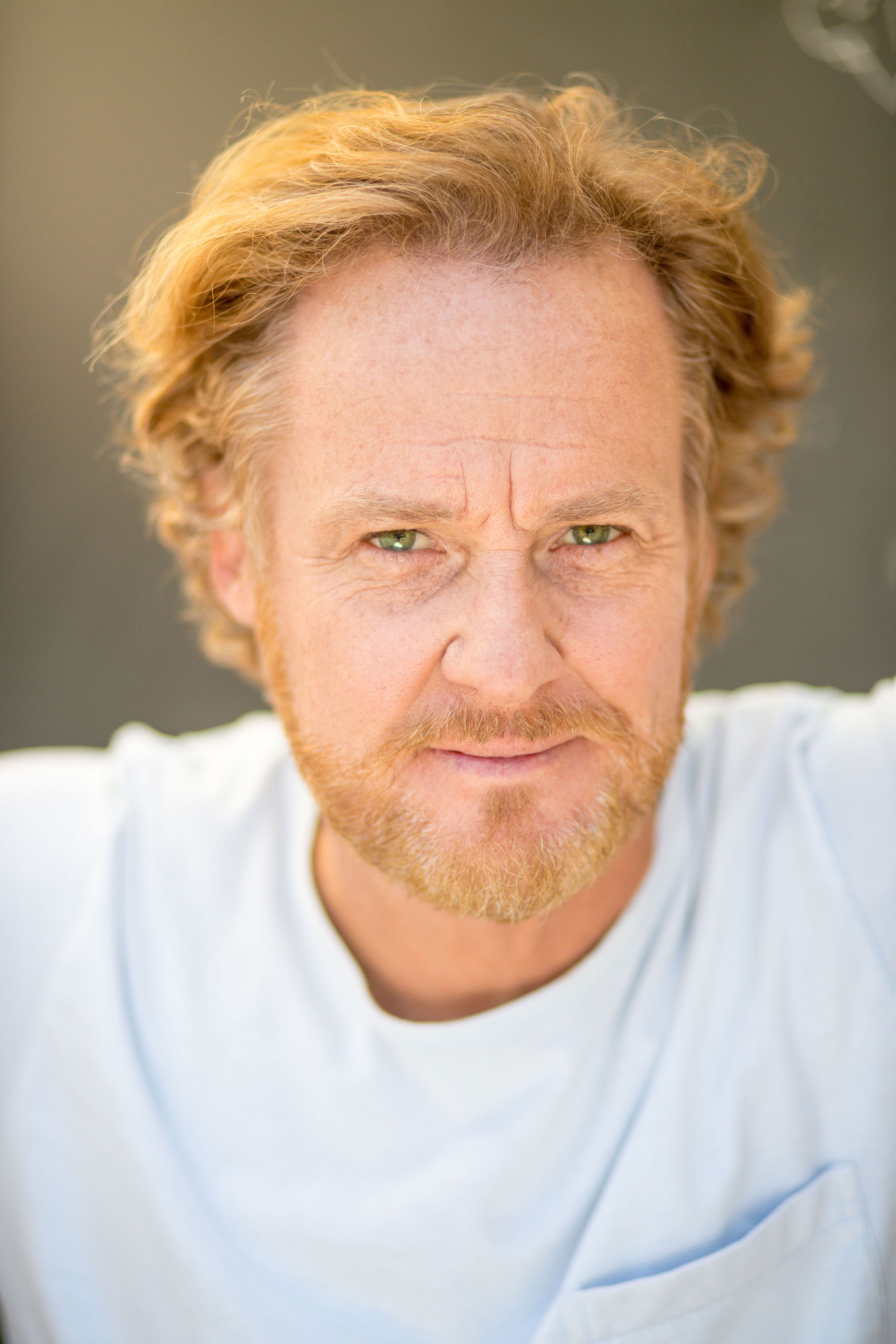 actor Paul Gleeson large photo