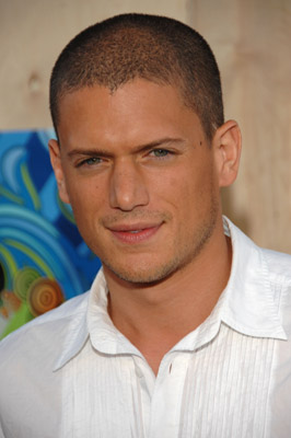 actor Wentworth Miller large photo