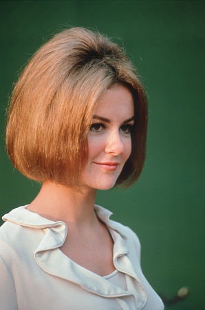actor Shelley Fabares large photo