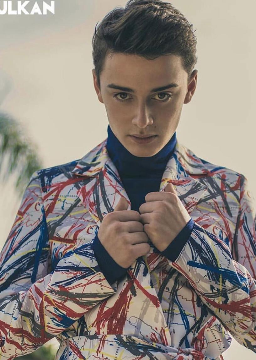 actor Noah Schnapp large photo