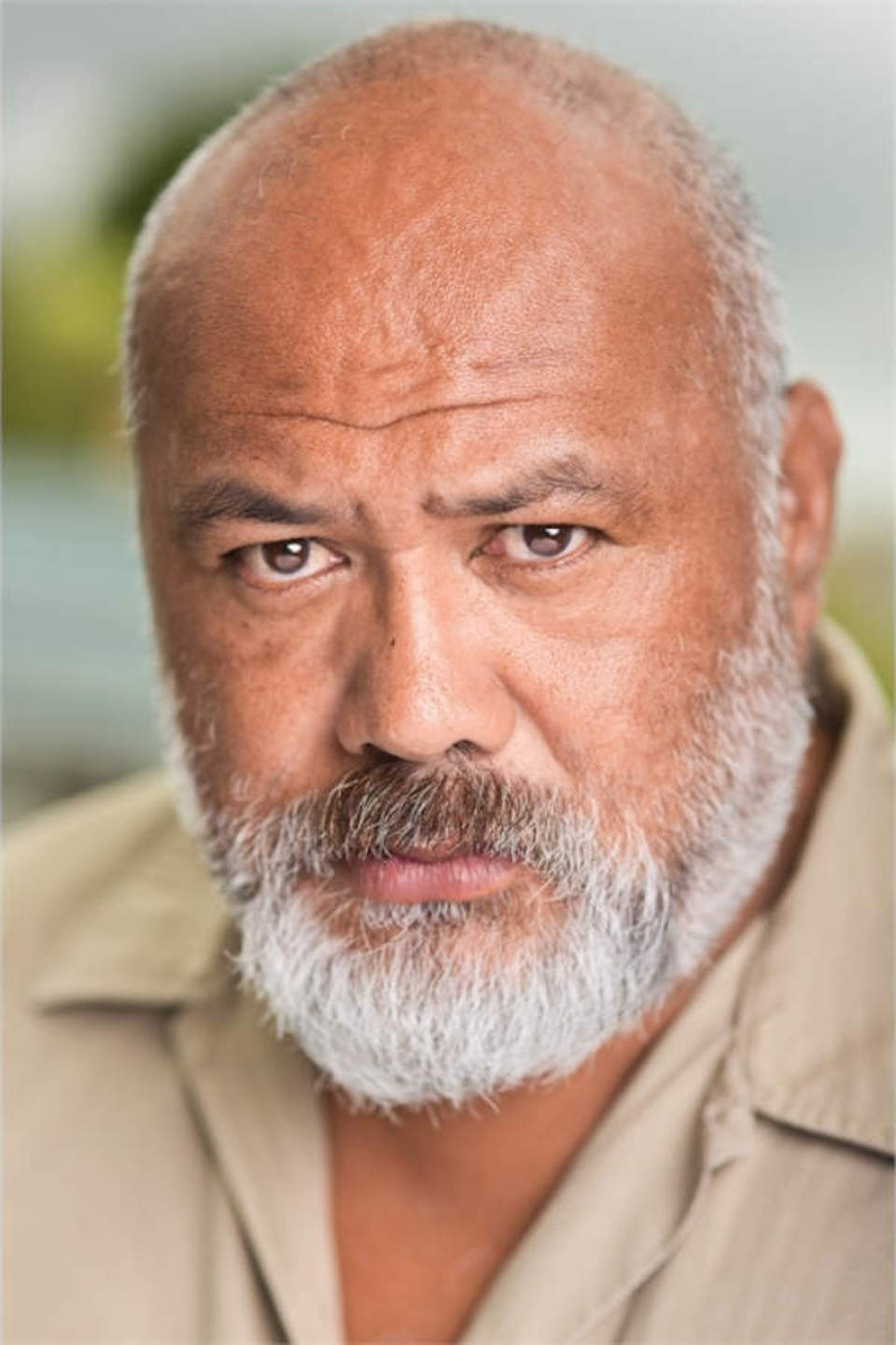 actor David Fane large photo