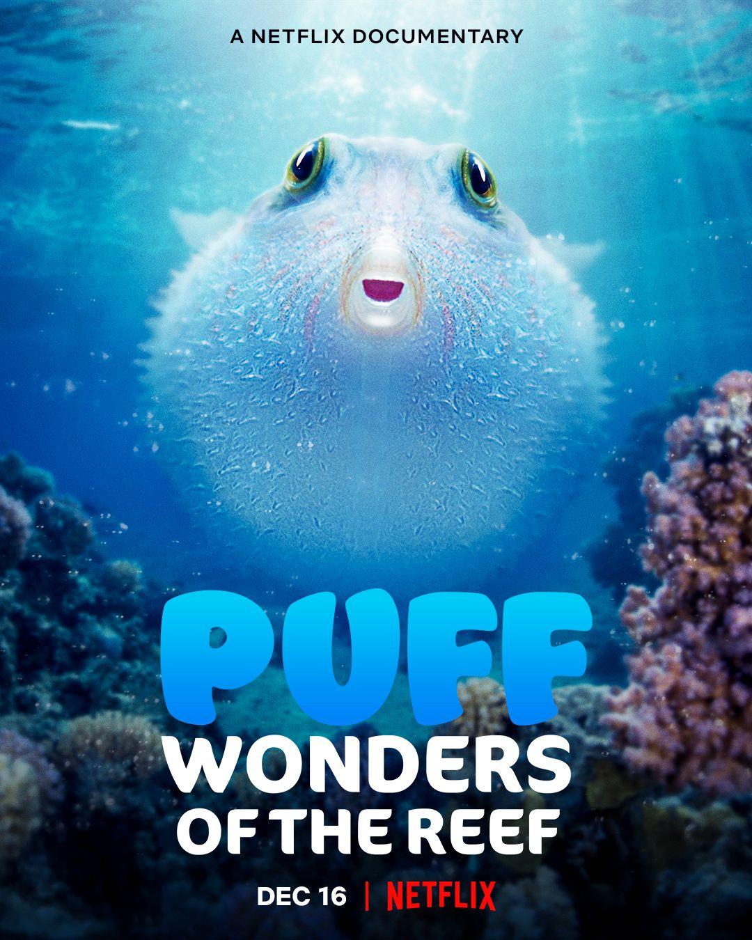 Puff Wonders Of The Reef Indonesian Moviebox Official