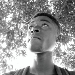 author avatar