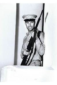 moviebox starr