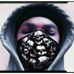 author avatar