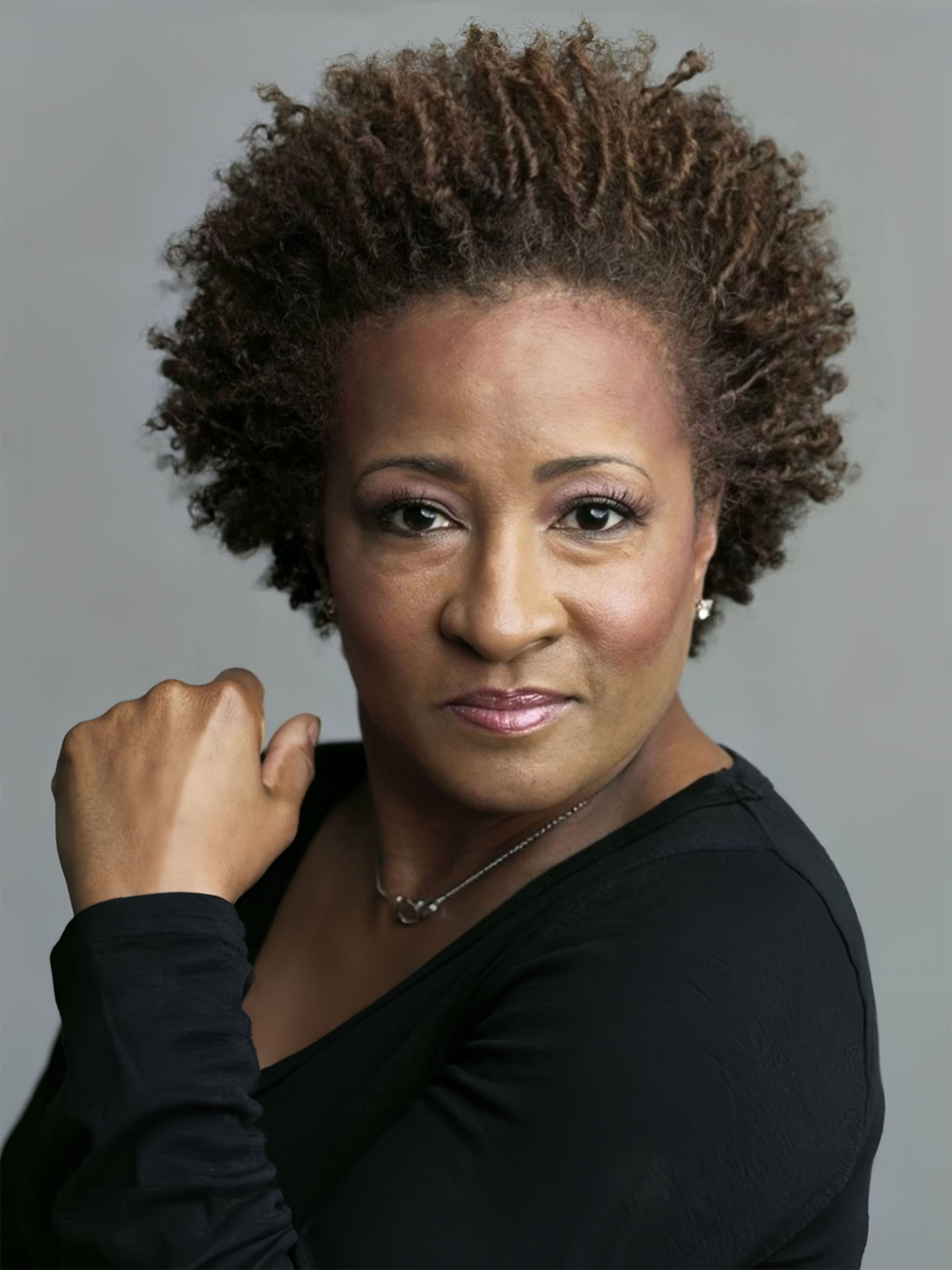 actor Wanda Sykes large photo