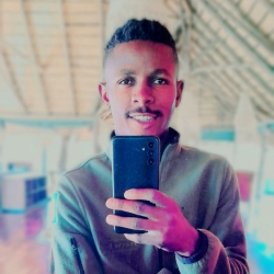 author avatar