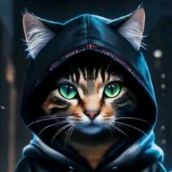 author avatar