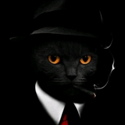 author avatar