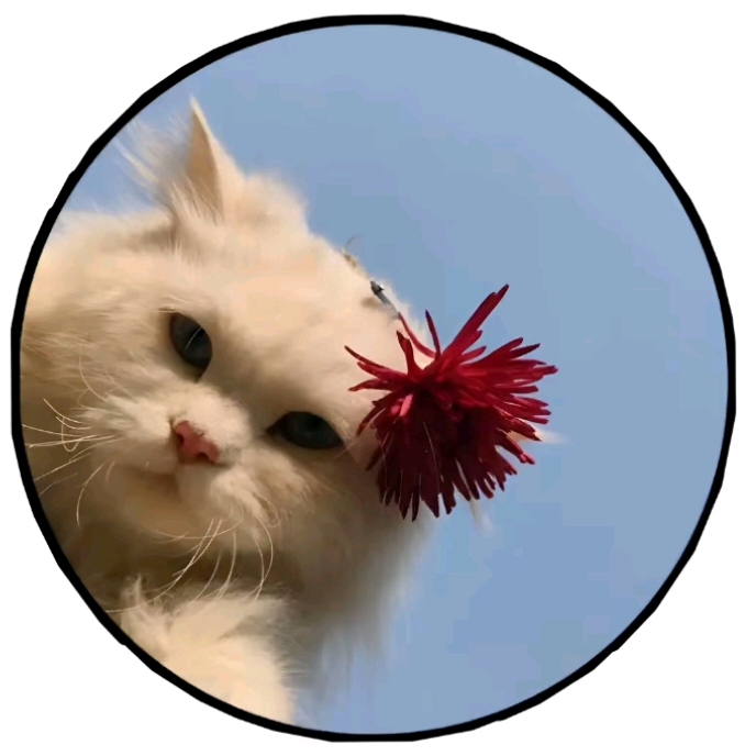 Hania Hunny🌸