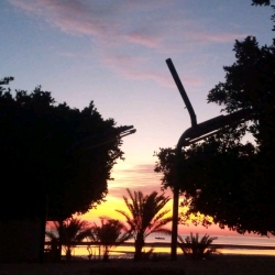 author avatar