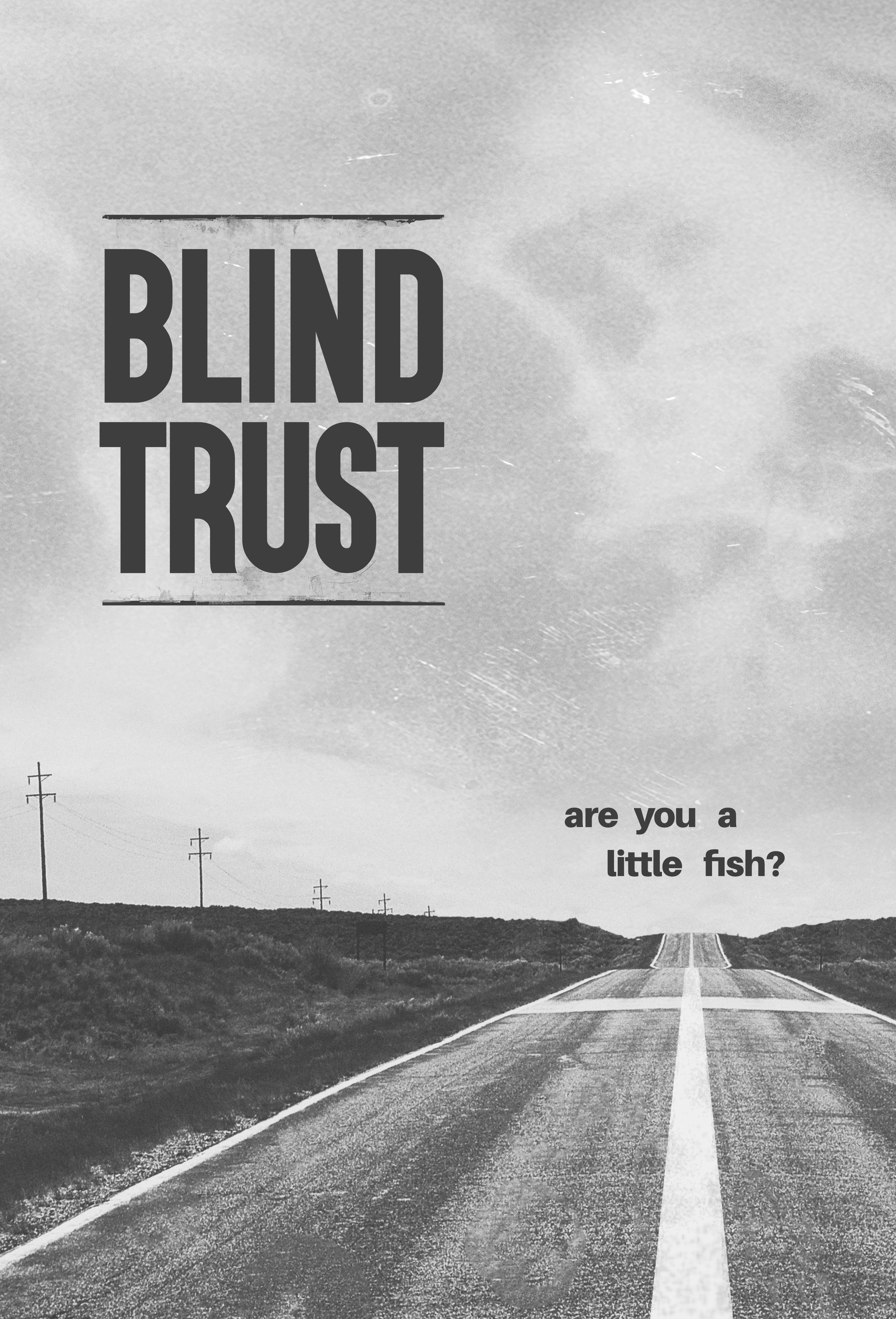 Blind Trust Moviebox