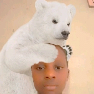 123Movies cover