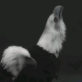 fuck u