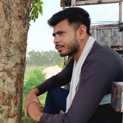 author avatar