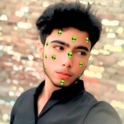 author avatar