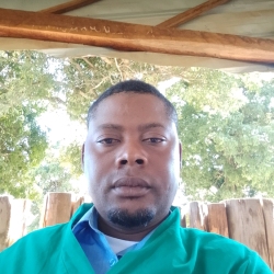 author avatar