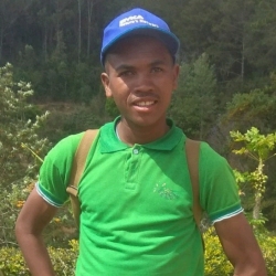 author avatar